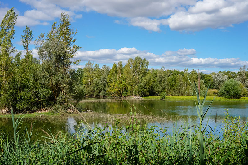 Faucardage Vesoul