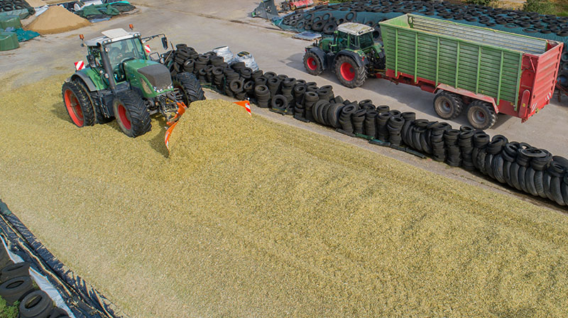 Ensilage d'herbe et maïs Vesoul