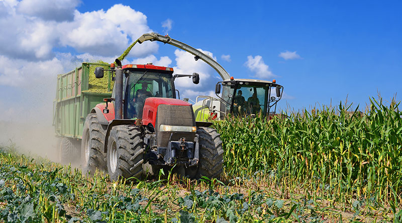 Ensilage d'herbe et maïs Haute-Marne